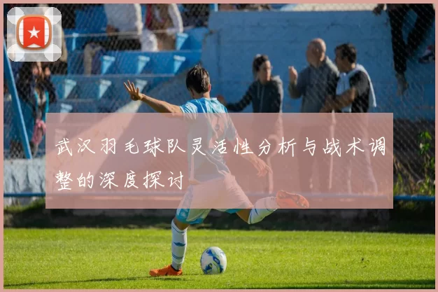武汉羽毛球队灵活性分析与战术调整的深度探讨