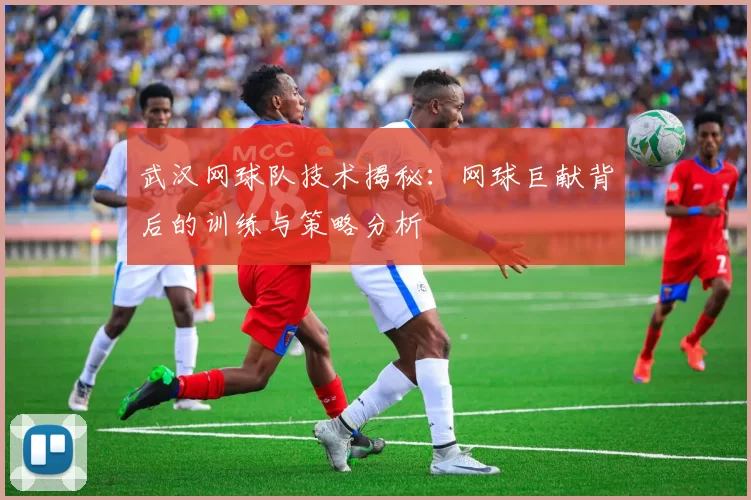 武汉网球队技术揭秘：网球巨献背后的训练与策略分析