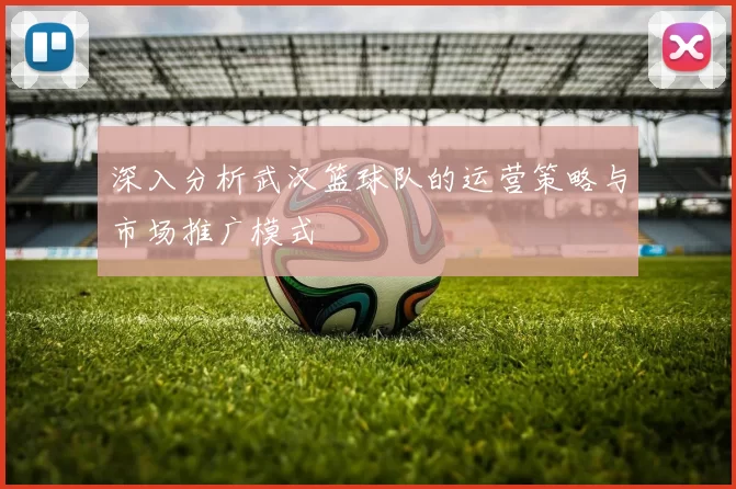 深入分析武汉篮球队的运营策略与市场推广模式