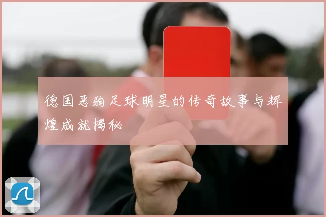 德国恶狗足球明星的传奇故事与辉煌成就揭秘