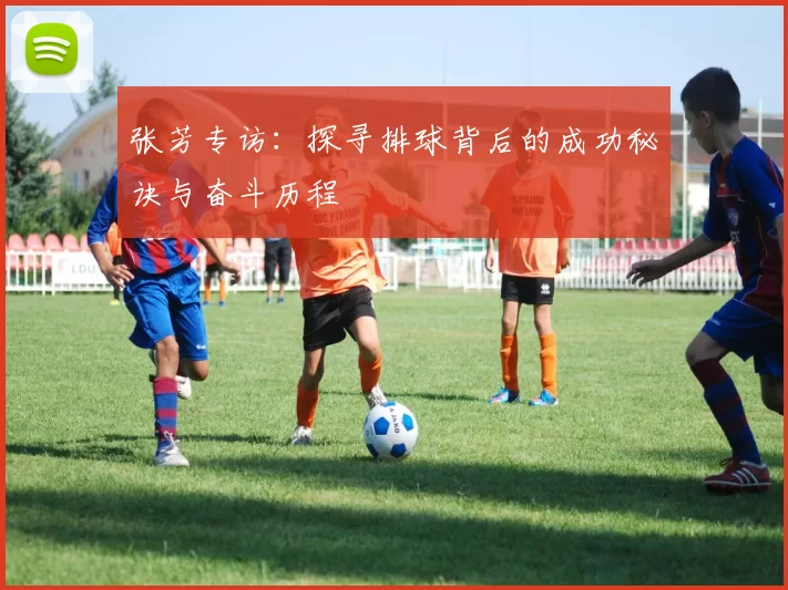 张芳专访：探寻排球背后的成功秘诀与奋斗历程