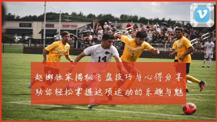 赵娜独家揭秘飞盘技巧与心得分享助你轻松掌握这项运动的乐趣与魅力