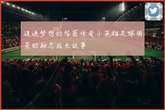 追逐梦想的绿茵传奇小英雄足球明星的励志成长故事