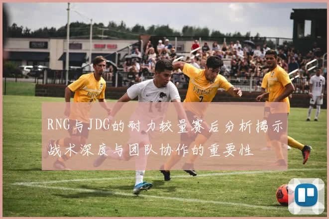 RNG与JDG的耐力较量赛后分析揭示战术深度与团队协作的重要性