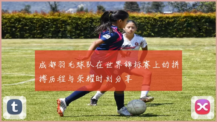 成都羽毛球队在世界锦标赛上的拼搏历程与荣耀时刻分享