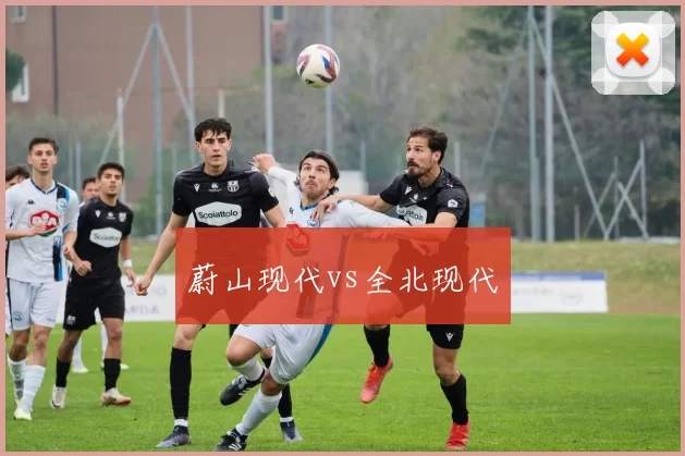蔚山现代vs全北现代