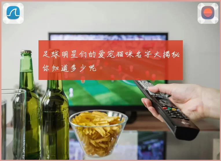 足球明星们的爱宠猫咪名字大揭秘你知道多少呢