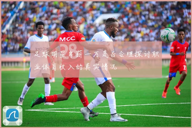 足球明星年薪一万是否合理探讨职业体育收入的真实情况