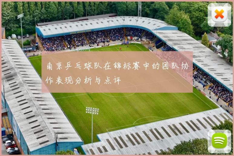 南京乒乓球队在锦标赛中的团队协作表现分析与点评