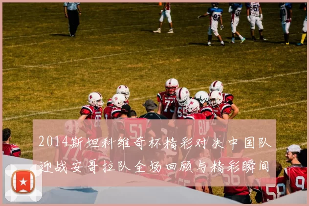 2014斯坦科维奇杯精彩对决中国队迎战安哥拉队全场回顾与精彩瞬间分析