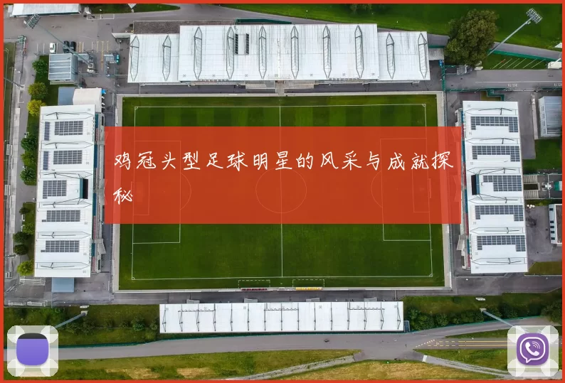 鸡冠头型足球明星的风采与成就探秘